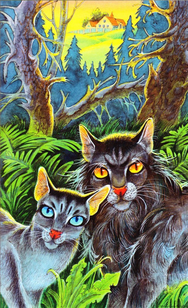 Сумрачный лес коты воители фон